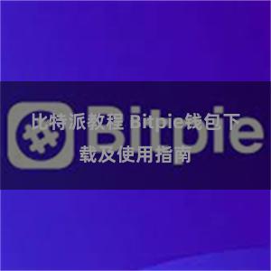 比特派教程 Bitpie钱包下载及使用指南