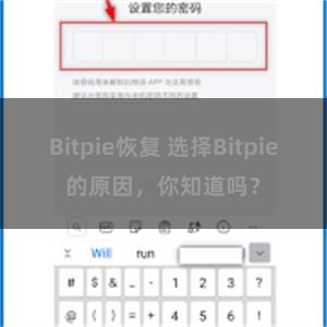 Bitpie恢复 选择Bitpie的原因，你知道吗？