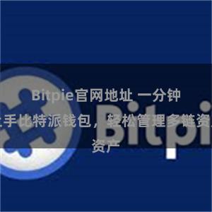 Bitpie官网地址 一分钟上手比特派钱包，轻松管理多链资产