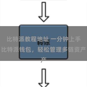 比特派教程地址 一分钟上手比特派钱包，轻松管理多链资产