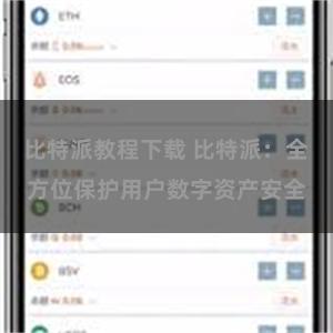 比特派教程下载 比特派：全方位保护用户数字资产安全