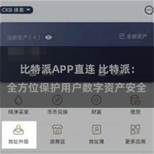 比特派APP直连 比特派：全方位保护用户数字资产安全