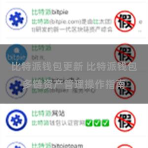 比特派钱包更新 比特派钱包多链资产管理操作指南