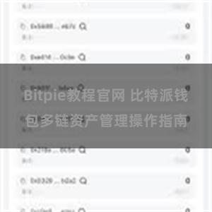 Bitpie教程官网 比特派钱包多链资产管理操作指南