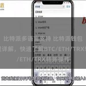 比特派多语言支持 比特派钱包转账教程详解，快速了解BTC/ETH/TRX转账操作