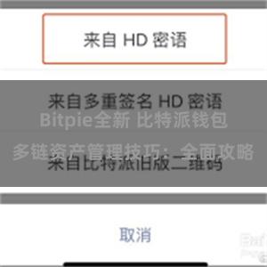 Bitpie全新 比特派钱包多链资产管理技巧：全面攻略