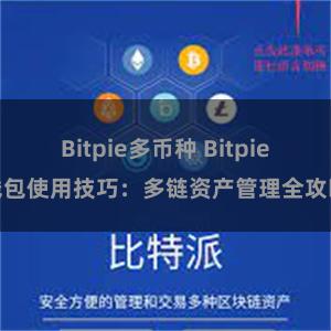 Bitpie多币种 Bitpie钱包使用技巧：多链资产管理全攻略