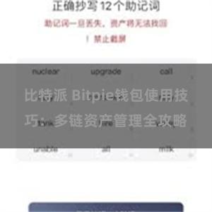 比特派 Bitpie钱包使用技巧：多链资产管理全攻略