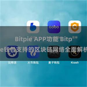 Bitpie APP功能 Bitpie钱包支持的区块链网络全面解析