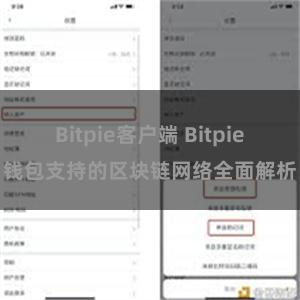 Bitpie客户端 Bitpie钱包支持的区块链网络全面解析