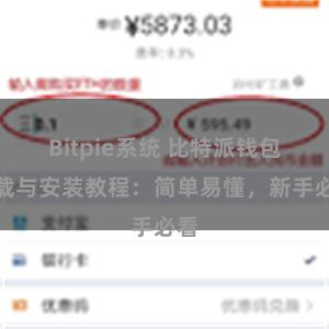 Bitpie系统 比特派钱包下载与安装教程：简单易懂，新手必看