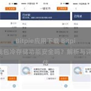 Bitpie应用下载 Bitpie钱包冷存储功能安全吗？解析与评估