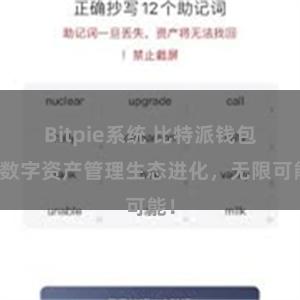 Bitpie系统 比特派钱包：数字资产管理生态进化，无限可能！