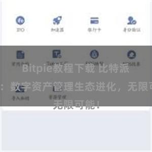 Bitpie教程下载 比特派钱包：数字资产管理生态进化，无限可能！