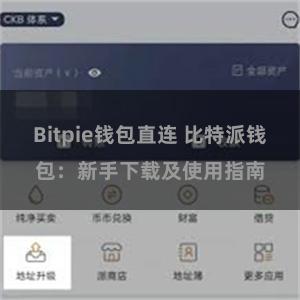 Bitpie钱包直连 比特派钱包：新手下载及使用指南