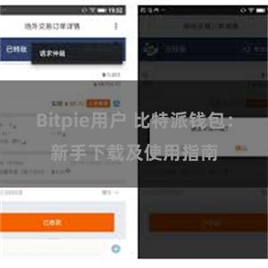 Bitpie用户 比特派钱包：新手下载及使用指南