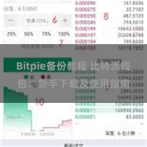 Bitpie备份教程 比特派钱包：新手下载及使用指南