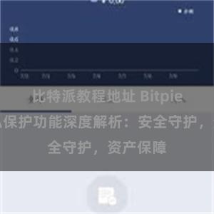 比特派教程地址 Bitpie钱包隐私保护功能深度解析：安全守护，资产保障