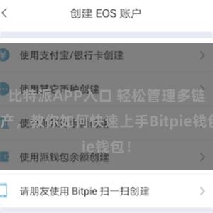 比特派APP入口 轻松管理多链资产，教你如何快速上手Bitpie钱包！