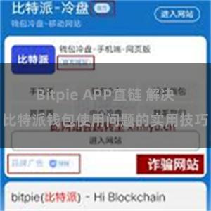 Bitpie APP直链 解决比特派钱包使用问题的实用技巧