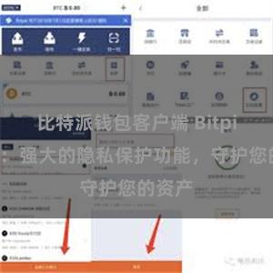 比特派钱包客户端 Bitpie钱包：强大的隐私保护功能，守护您的资产