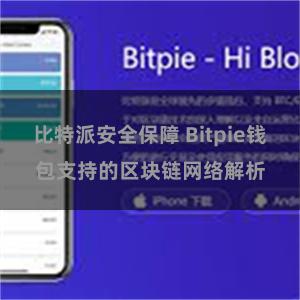 比特派安全保障 Bitpie钱包支持的区块链网络解析