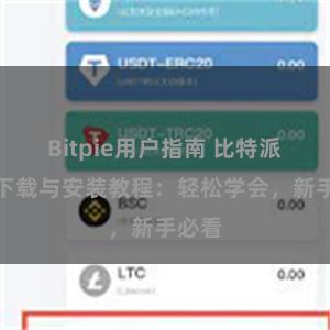 Bitpie用户指南 比特派钱包下载与安装教程：轻松学会，新手必看