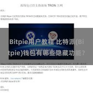 Bitpie用户教程 比特派(Bitpie)钱包有哪些隐藏功能？