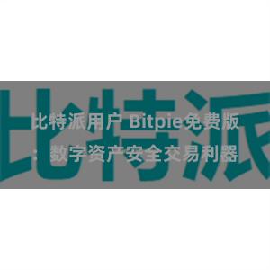 比特派用户 Bitpie免费版：数字资产安全交易利器