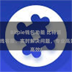 Bitpie钱包功能 比特派在线客服，实时解决问题，专业高效！
