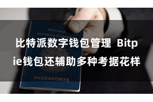 比特派数字钱包管理  Bitpie钱包还辅助多种考据花样