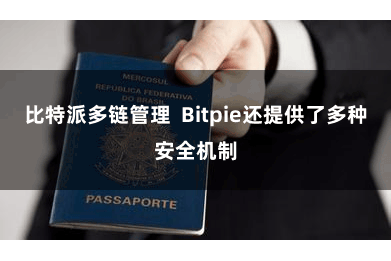 比特派多链管理  Bitpie还提供了多种安全机制