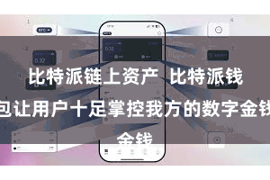 比特派链上资产  比特派钱包让用户十足掌控我方的数字金钱