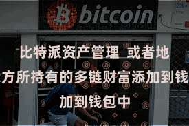 比特派资产管理  或者地将我方所持有的多链财富添加到钱包中