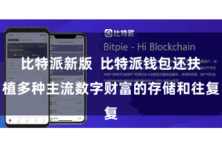 比特派新版  比特派钱包还扶植多种主流数字财富的存储和往复