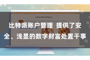 比特派账户管理  提供了安全、浅显的数字财富处置干事