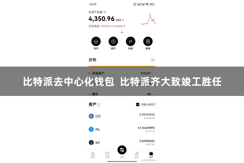 比特派去中心化钱包  比特派齐大致竣工胜任