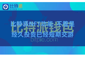比特派NFT功能  不管是经久投资已经短期交游